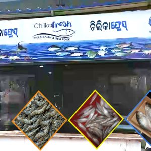 4-Chilika-fresh-990x990